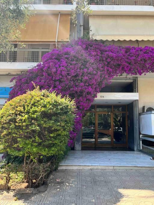 Bluexenia 1 Bedroom Retro Luxury Ateny Zewnętrze zdjęcie